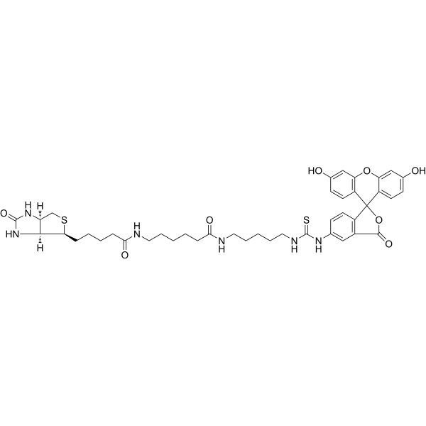 Fluorescein Biotin 134759-22-1